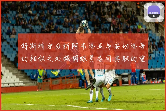 舒斯特尔分析阿韦洛亚与安切洛蒂的相似之处强调球员各司其职的重要性