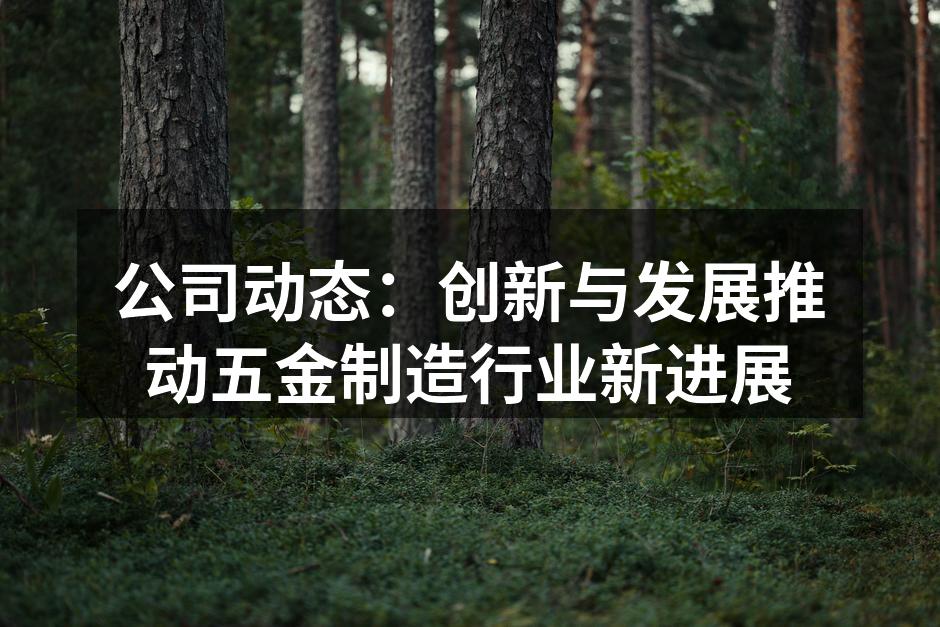 公司动态:创新与发展推动五金制造行业新进展